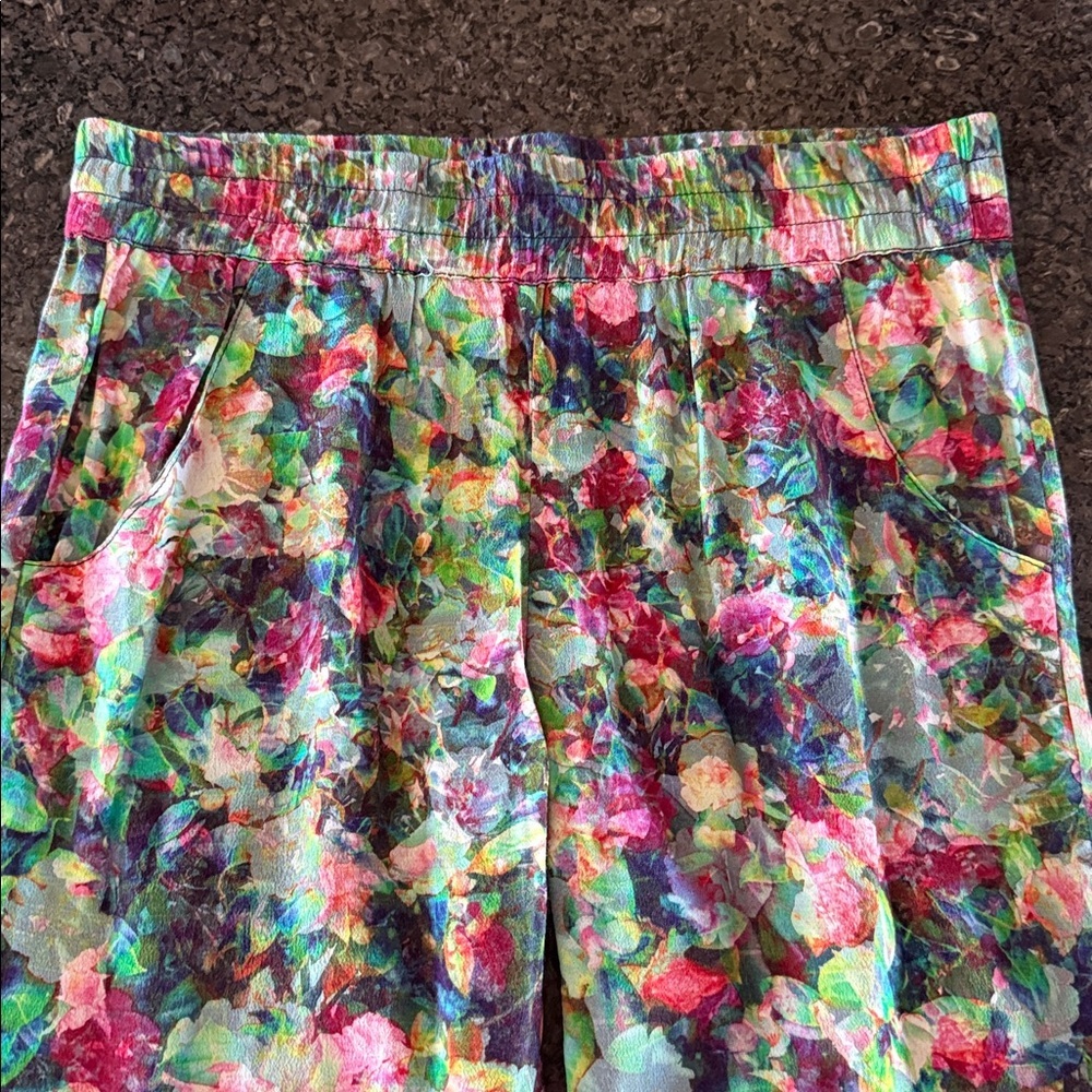 Anthropologie Sam & Lavi Botanical Print Pull On Ankle Pants - Picture 4 of 7